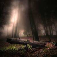 Lesen LED Bilder Bewertungen